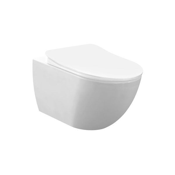 Wc-wit-met-rvs-bidet-randloos.jpg
